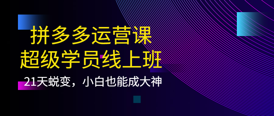拼多多运营课：超级学员线上班，21天蜕变，小白也能成大神聚合网创-网创项目资源站-副业项目-创业项目-搞钱项目聚合网创