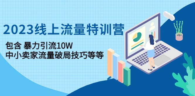 2023线上流量特训营：中小卖家流量破局技巧等等聚合网创-网创项目资源站-副业项目-创业项目-搞钱项目聚合网创