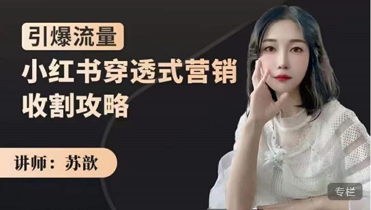 小红书穿透式营销收割攻略，引爆流量，助你玩转小红书聚合网创-网创项目资源站-副业项目-创业项目-搞钱项目聚合网创