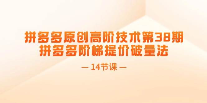 拼多多原创高阶技术第38期，拼多多阶梯提价破量法（14节课）聚合网创-网创项目资源站-副业项目-创业项目-搞钱项目聚合网创