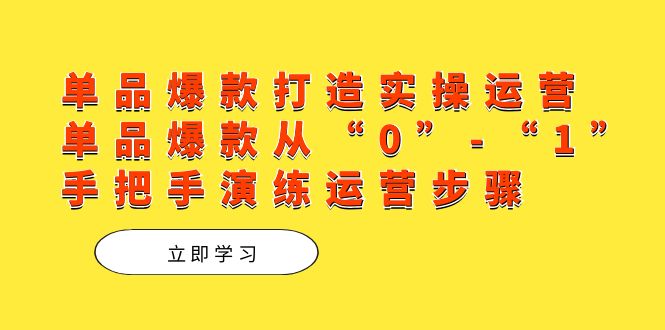 单品爆款打造实操运营，单品爆款从“0”-“1”手把手演练运营步骤聚合网创-网创项目资源站-副业项目-创业项目-搞钱项目聚合网创
