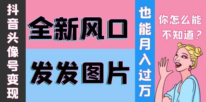 抖音头像号变现0基础教程聚合网创-网创项目资源站-副业项目-创业项目-搞钱项目聚合网创
