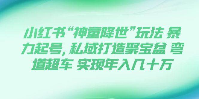 小红书“神童降世”玩法 暴力起号,私域打造聚宝盆 弯道超车 实现年入几十万聚合网创-网创项目资源站-副业项目-创业项目-搞钱项目聚合网创