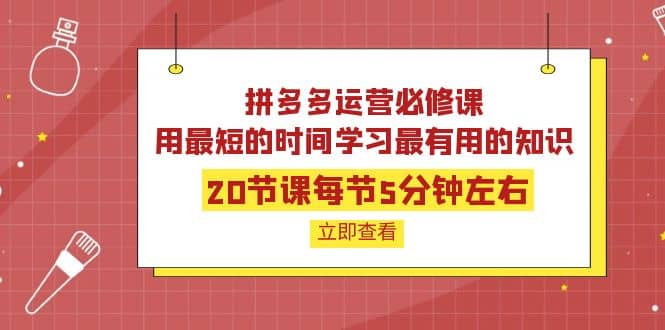 拼多多运营必修课：20节课每节5分钟左右，用最短的时间学习最有用的知识聚合网创-网创项目资源站-副业项目-创业项目-搞钱项目聚合网创