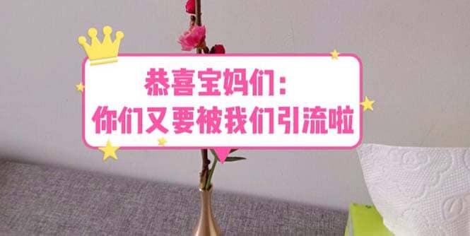 恭喜宝妈们：你们又要被我们引流了（教程+222g资料）聚合网创-网创项目资源站-副业项目-创业项目-搞钱项目聚合网创