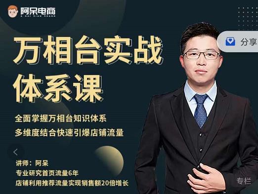 阿呆-万相台实战体系课，帮您全面掌握万相台知识体系聚合网创-网创项目资源站-副业项目-创业项目-搞钱项目聚合网创
