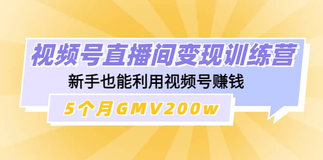 视频号直播间变现训练营聚合网创-网创项目资源站-副业项目-创业项目-搞钱项目聚合网创