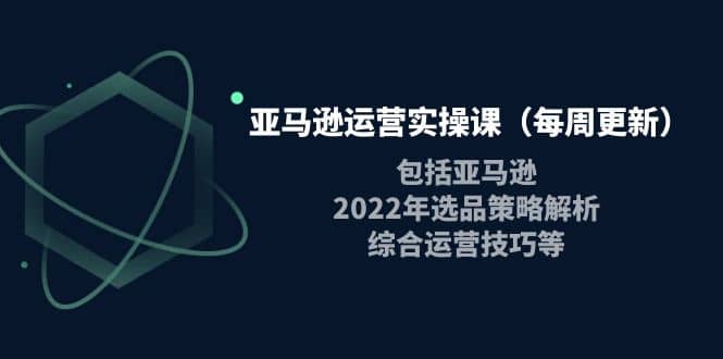 亚马逊运营实操课（每周更新）包括亚马逊2022选品策略解析，综合运营技巧等聚合网创-网创项目资源站-副业项目-创业项目-搞钱项目聚合网创