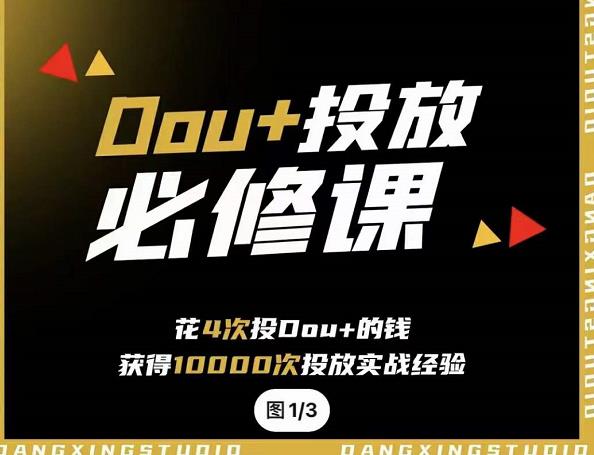 代同学DOU+投放训练营，用付费流量撬动大额自然流量，过得超额变现转化聚合网创-网创项目资源站-副业项目-创业项目-搞钱项目聚合网创