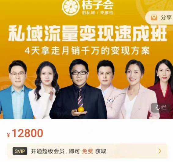 桔子会·私域流量变现速成班，4天拿走月销千万的变现方案 价值12800元聚合网创-网创项目资源站-副业项目-创业项目-搞钱项目聚合网创