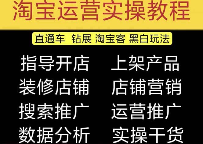 2023淘宝开店教程0基础到高级全套视频网店电商运营培训教学课程（2月更新）聚合网创-网创项目资源站-副业项目-创业项目-搞钱项目聚合网创