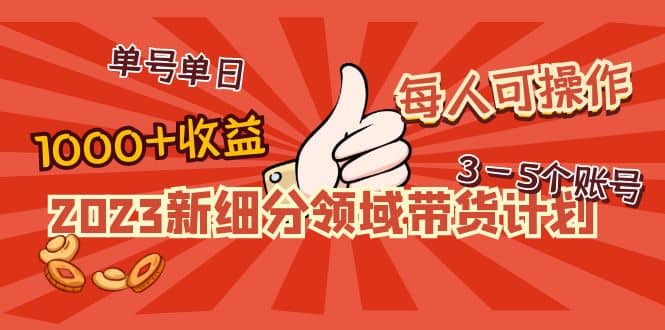 2023新细分领域带货计划：单号单日1000+收益不难，每人可操作3-5个账号聚合网创-网创项目资源站-副业项目-创业项目-搞钱项目聚合网创