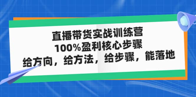 直播带货实战训练营：100%盈利核心步骤，给方向，给方法，给步骤，能落地聚合网创-网创项目资源站-副业项目-创业项目-搞钱项目聚合网创