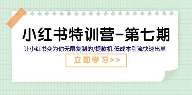 小红书特训营-第七期 让小红书变为你无限复制的/提款机 低成本引流快速出单聚合网创-网创项目资源站-副业项目-创业项目-搞钱项目聚合网创