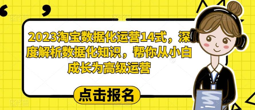 2023淘宝数据化-运营 14式，深度解析数据化知识，帮你从小白成长为高级运营聚合网创-网创项目资源站-副业项目-创业项目-搞钱项目聚合网创