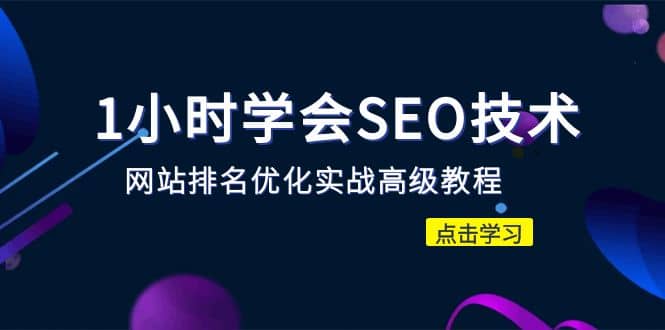 1小时学会SEO技术 网站排名优化实战高级教程-秒杀市面95%收费几千的SEO教程聚合网创-网创项目资源站-副业项目-创业项目-搞钱项目聚合网创