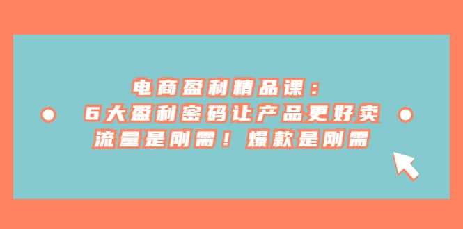 电商 盈利精品课：6大盈利 密码让产品更好卖，流量是刚需！爆款是刚需聚合网创-网创项目资源站-副业项目-创业项目-搞钱项目聚合网创