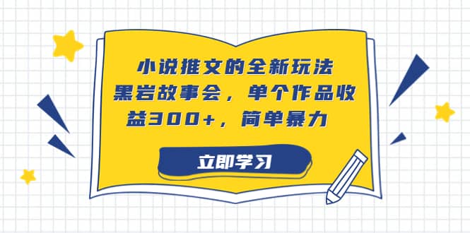 小说推文的全新玩法，黑岩故事会，单个作品收益300+，简单暴力聚合网创-网创项目资源站-副业项目-创业项目-搞钱项目聚合网创