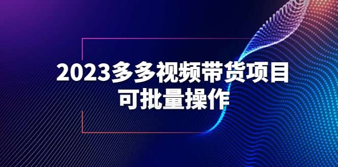 2023多多视频带货项目，可批量操作【保姆级教学】聚合网创-网创项目资源站-副业项目-创业项目-搞钱项目聚合网创