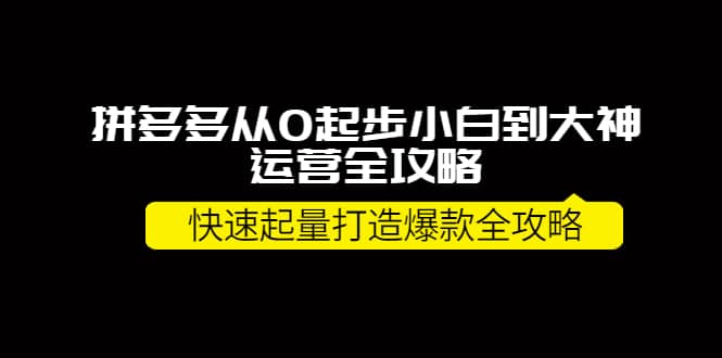 拼多多从0起步小白到大神运营全攻略聚合网创-网创项目资源站-副业项目-创业项目-搞钱项目聚合网创