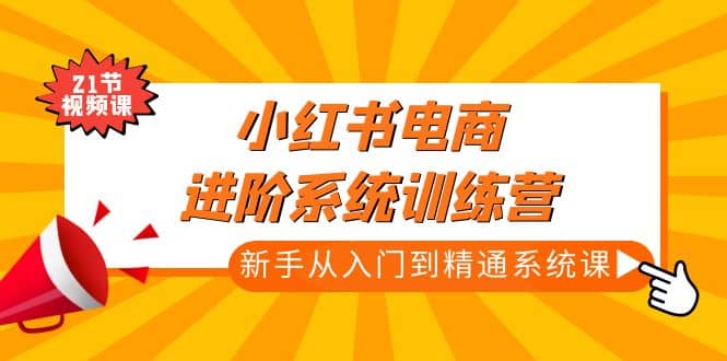 小红书电商进阶系统训练营：新手从入门到精通系统课（21节视频课）聚合网创-网创项目资源站-副业项目-创业项目-搞钱项目聚合网创