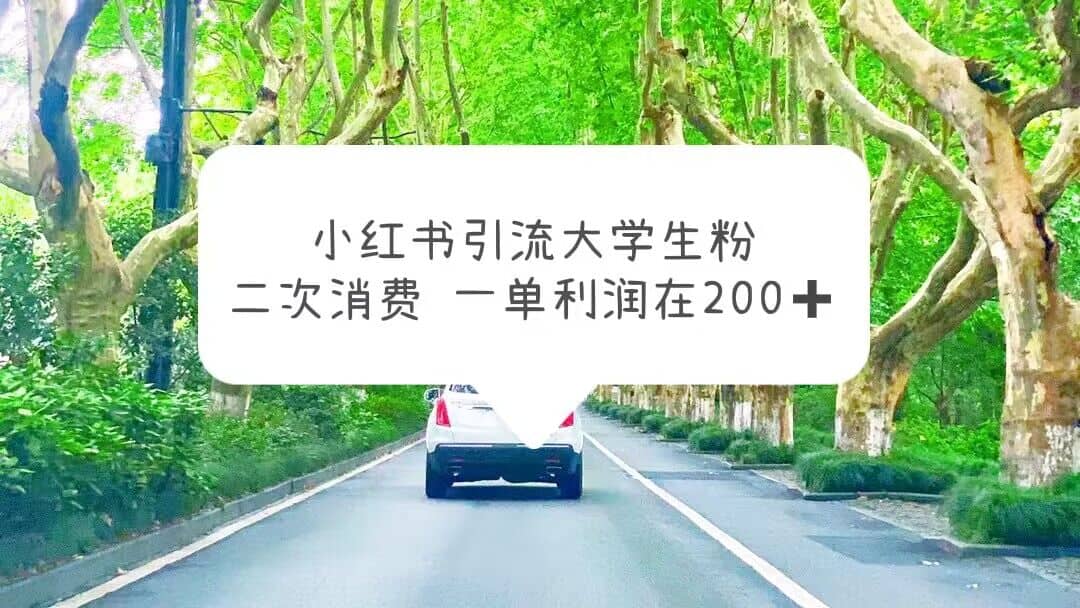 小红书引流大学生粉，变现项目，一单利润在200+（教程+资源）聚合网创-网创项目资源站-副业项目-创业项目-搞钱项目聚合网创