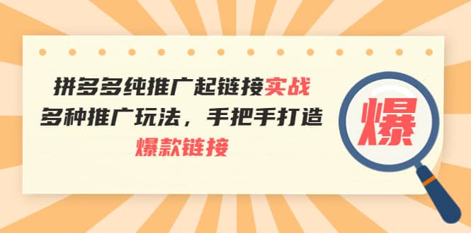 拼多多纯推广起链接实战：多种推广玩法，手把手打造爆款链接聚合网创-网创项目资源站-副业项目-创业项目-搞钱项目聚合网创