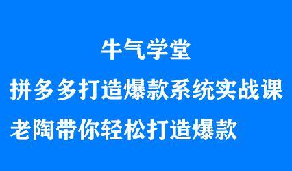 牛气学堂拼多多打造爆款系统实战课，老陶带你轻松打造爆款聚合网创-网创项目资源站-副业项目-创业项目-搞钱项目聚合网创