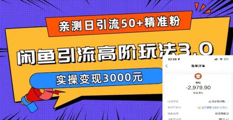 实测日引50+精准粉，闲鱼引流高阶玩法3.0，实操变现3000元聚合网创-网创项目资源站-副业项目-创业项目-搞钱项目聚合网创