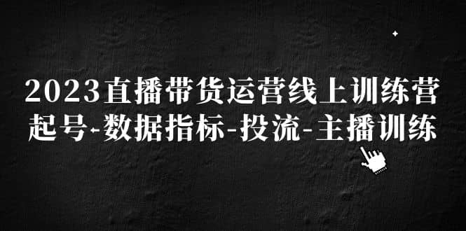 2023直播带货运营线上训练营，起号-数据指标-投流-主播训练聚合网创-网创项目资源站-副业项目-创业项目-搞钱项目聚合网创
