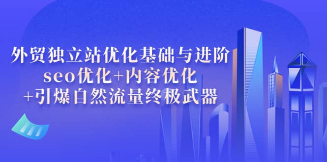 外贸独立站优化基础与进阶，seo优化+内容优化+引爆自然流量终极武器聚合网创-网创项目资源站-副业项目-创业项目-搞钱项目聚合网创