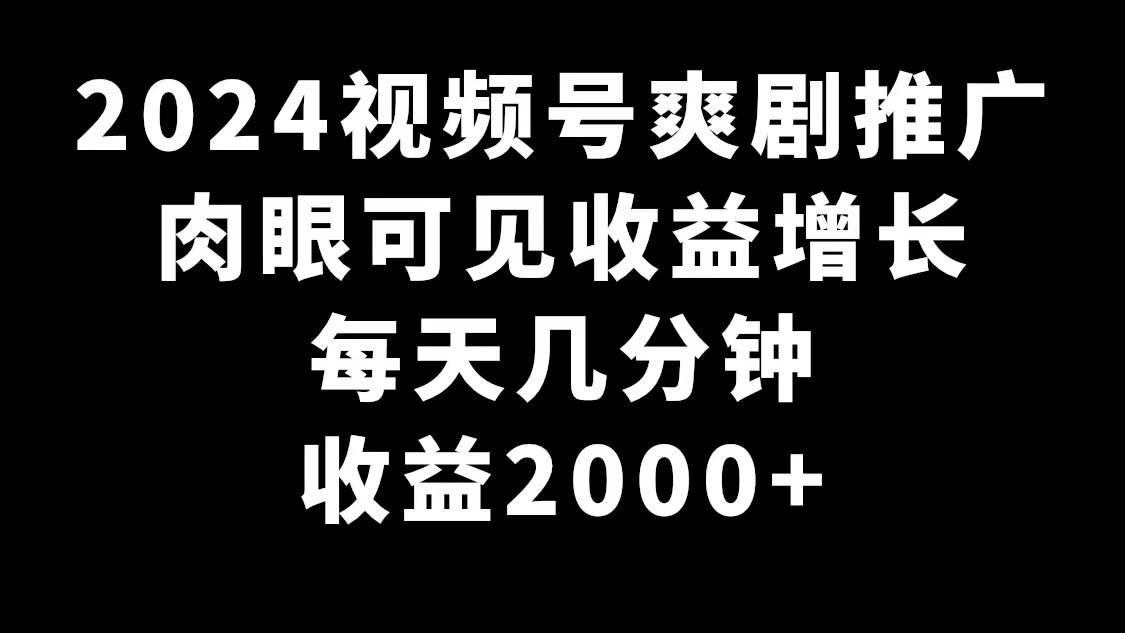 2024视频号爽剧推广，肉眼可见的收益增长，每天几分钟收益2000+聚合网创-网创项目资源站-副业项目-创业项目-搞钱项目聚合网创