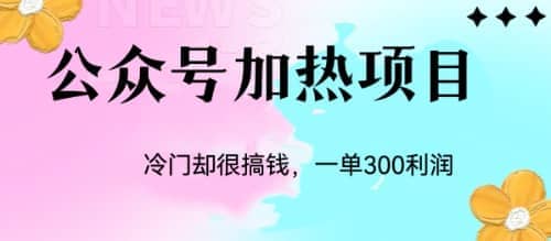 冷门公众号加热项目，一单利润300+聚合网创-网创项目资源站-副业项目-创业项目-搞钱项目聚合网创