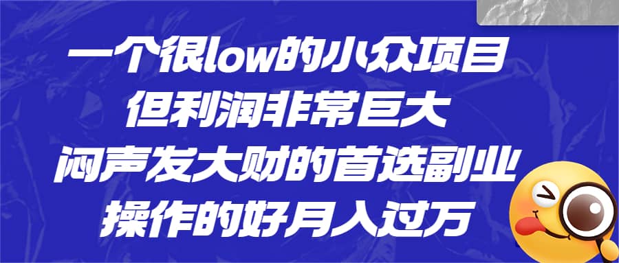 一个很low的小众项目，但利润非常巨大，闷声发大财的首选副业，月入过万聚合网创-网创项目资源站-副业项目-创业项目-搞钱项目聚合网创