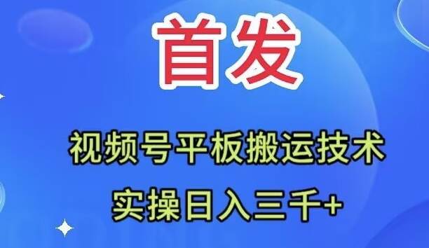 全网首发：视频号平板搬运技术，实操日入三千＋聚合网创-网创项目资源站-副业项目-创业项目-搞钱项目聚合网创