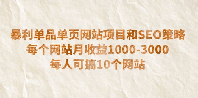 暴利单品单页网站项目和SEO策略 每个网站月收益1000-3000 每人可搞10个聚合网创-网创项目资源站-副业项目-创业项目-搞钱项目聚合网创