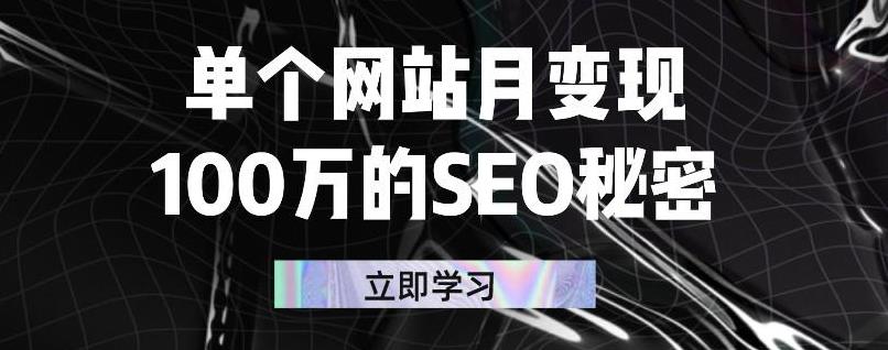 单个网站月变现100万的SEO秘密，百分百做出赚钱站点聚合网创-网创项目资源站-副业项目-创业项目-搞钱项目聚合网创