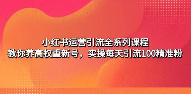 小红书运营引流全系列课程：教你养高权重新号聚合网创-网创项目资源站-副业项目-创业项目-搞钱项目聚合网创