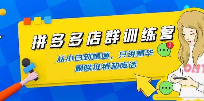拼多多店群训练营：从小白到精通，只讲精华，剔除推销和废话聚合网创-网创项目资源站-副业项目-创业项目-搞钱项目聚合网创