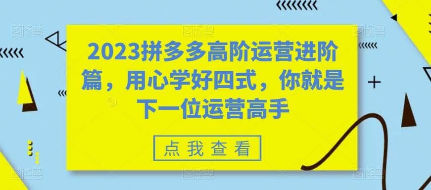 2023拼多多高阶运营进阶篇，用心学好四式，你就是下一位运营高手聚合网创-网创项目资源站-副业项目-创业项目-搞钱项目聚合网创