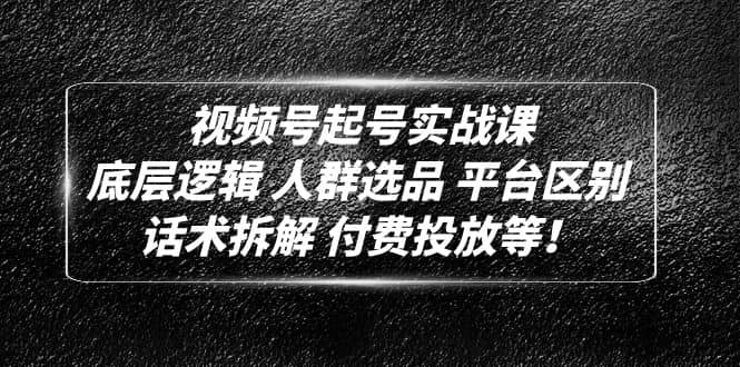 视频号起号实战课：底层逻辑 人群选品 平台区别 话术拆解 付费投放等聚合网创-网创项目资源站-副业项目-创业项目-搞钱项目聚合网创