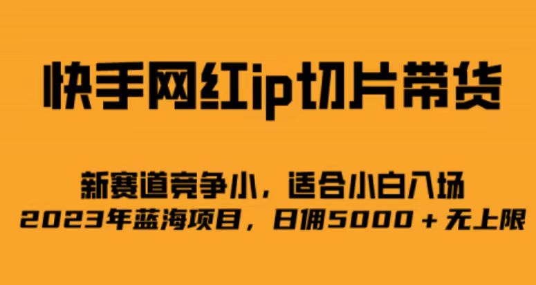 快手网红ip切片新赛道，竞争小事，适合小白 2023蓝海项目聚合网创-网创项目资源站-副业项目-创业项目-搞钱项目聚合网创