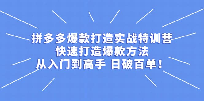 拼多多爆款打造实战特训营：快速打造爆款方法，从入门到高手 日破百单聚合网创-网创项目资源站-副业项目-创业项目-搞钱项目聚合网创