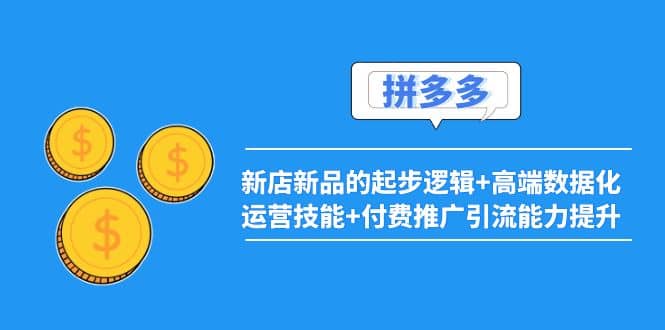 2022拼多多：新店新品的起步逻辑+高端数据化运营技能+付费推广引流能力提升聚合网创-网创项目资源站-副业项目-创业项目-搞钱项目聚合网创