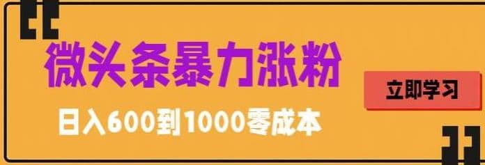 微头条暴力涨粉技巧搬运文案就能涨几万粉丝，简单0成本，日赚600聚合网创-网创项目资源站-副业项目-创业项目-搞钱项目聚合网创