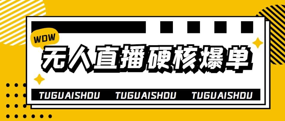 大飞无人直播硬核爆单技术，轻松玩转无人直播聚合网创-网创项目资源站-副业项目-创业项目-搞钱项目聚合网创