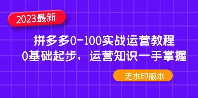 2023拼多多0-100实战运营教程，0基础起步，运营知识一手掌握（无水印）聚合网创-网创项目资源站-副业项目-创业项目-搞钱项目聚合网创