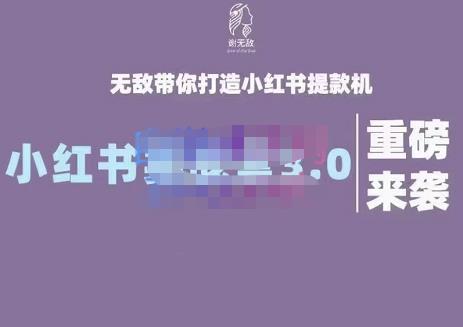 谢无敌·小红书实战营3.0，无敌带你打造小红书提款机 价值7999元聚合网创-网创项目资源站-副业项目-创业项目-搞钱项目聚合网创