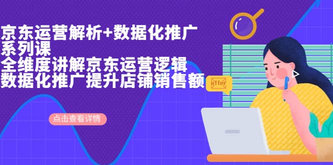 京东运营解析与数据化推广系列课，全维度讲解京东运营逻辑+数据化推广提升店铺销售额聚合网创-网创项目资源站-副业项目-创业项目-搞钱项目聚合网创