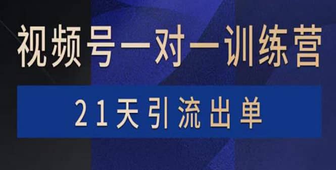 视频号训练营：带货，涨粉，直播，游戏，四大变现新方向，21天引流出单聚合网创-网创项目资源站-副业项目-创业项目-搞钱项目聚合网创